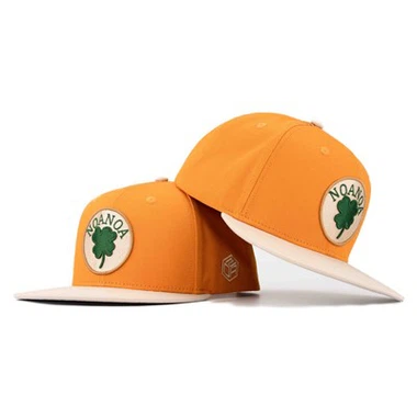 TCAP a adapté les besoins du client 100% de correction de broderie de tissu de coton unisexe 6 panneau Snapback Cap